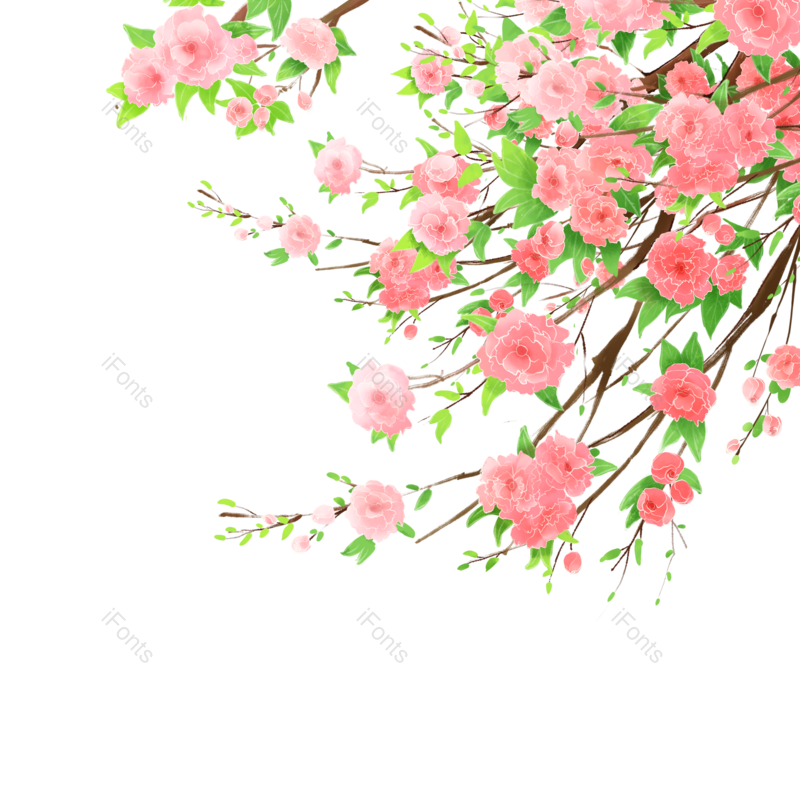 清新图片,花朵元素,鲜花PNG,植物素材免抠素材